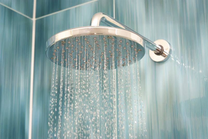 Shower Head Installation in Denver, CO