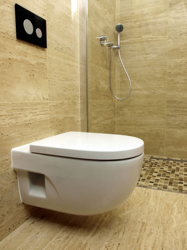 Toilet Parts Replacement in Denver, CO